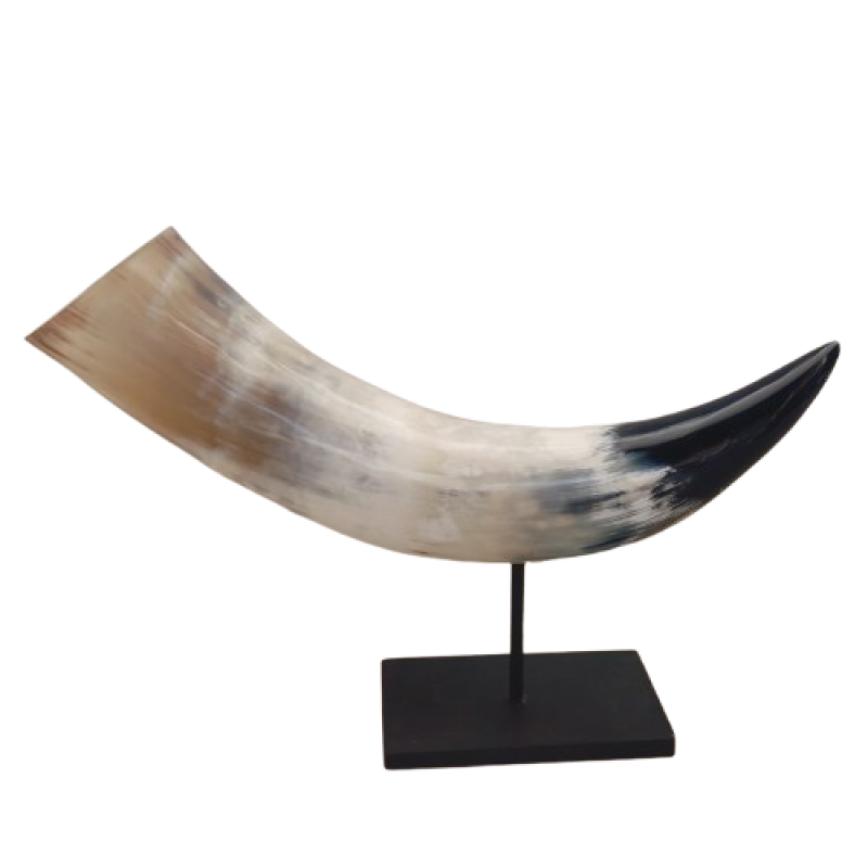 Natural 12-inch Buffalo Horn Mounted on Wood – Unique Antique-Inspired Home Décor